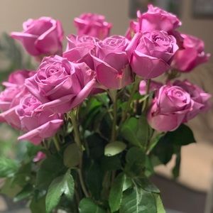 Meet your Posher, Catalina